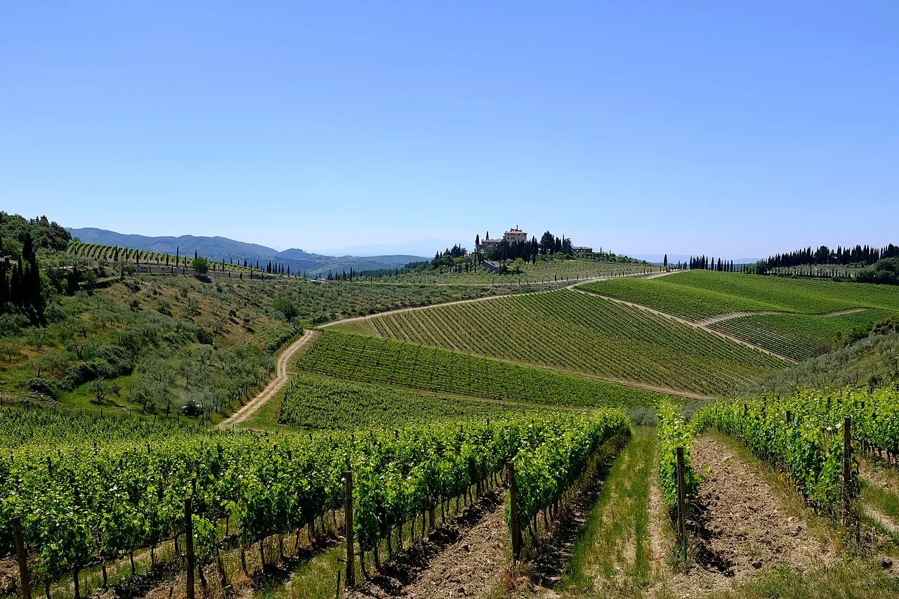 Una casa colonica in mezzo ai vigneti del Chianti