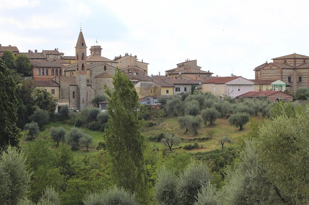 Il profilo di Castelnuovo Berardenga visto tra gli olivi