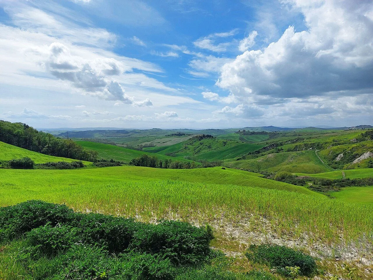Le colline delle Crete Senesi nei pressi di Asciano